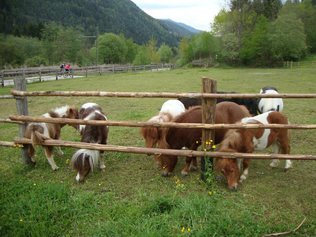 Winnewieser فاندويس المظهر الخارجي الصورة